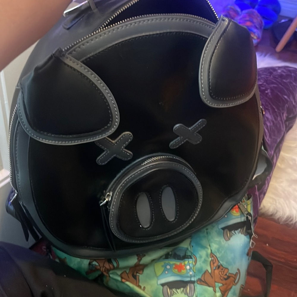 Shane Dawson pig bag